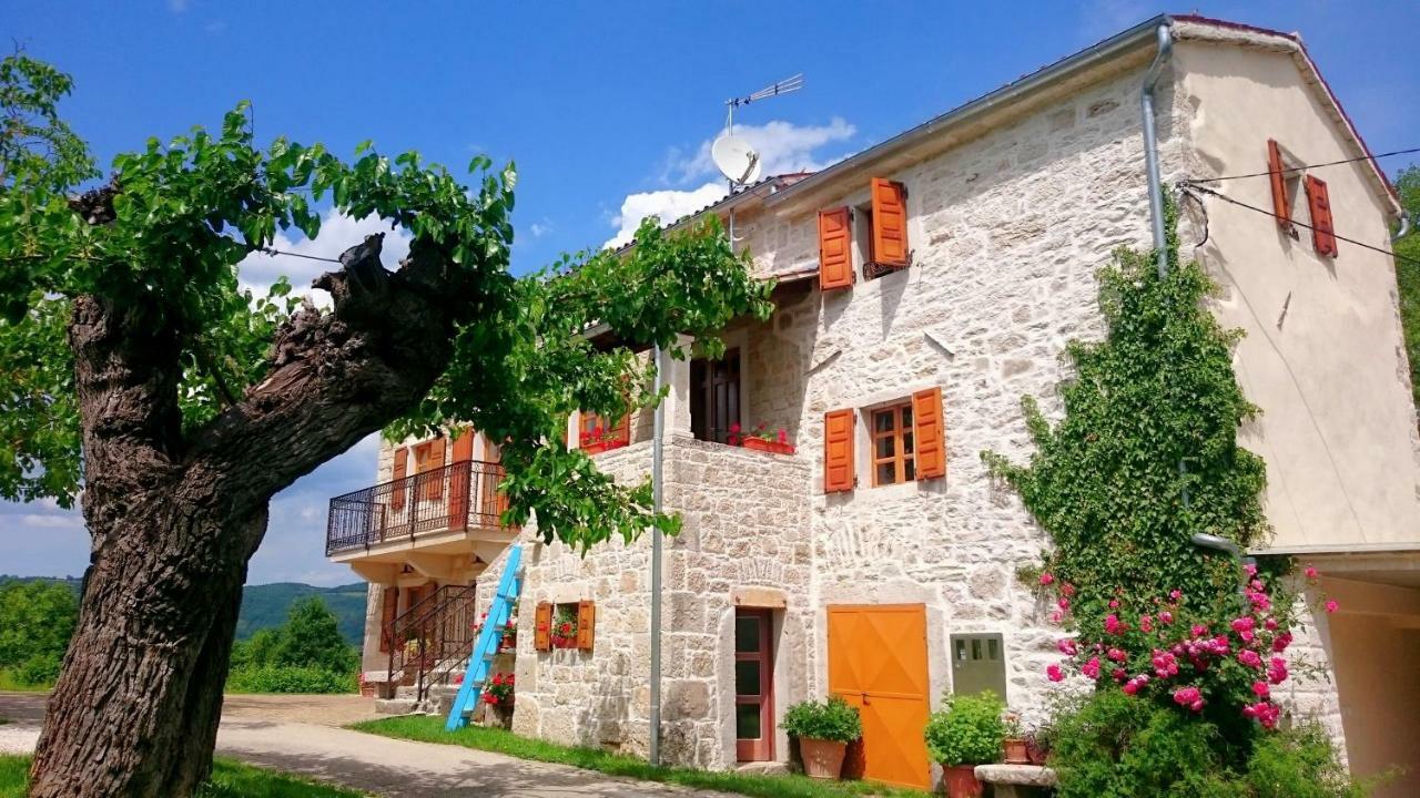 Villa Angela E Giovanni Vizinada Экстерьер фото